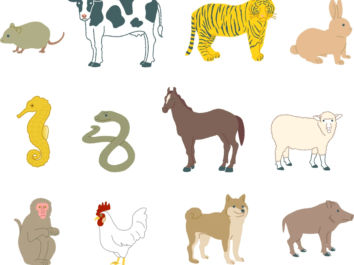 命運逆轉靠什麼？12 生肖個別特質公開：屬狗負責任，「這生肖」最會領導