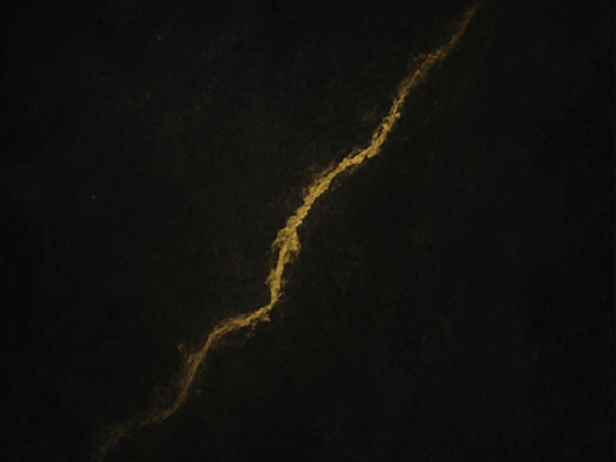 選圖D：你在懷疑與信任之間拉扯，既害怕真相，也害怕希望落空