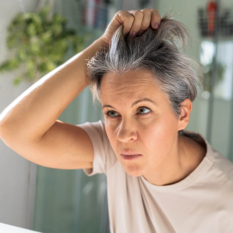 shutterstock_2540111707 shutterstock_2540111707