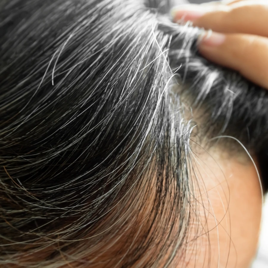 shutterstock_2499381627 shutterstock_2499381627