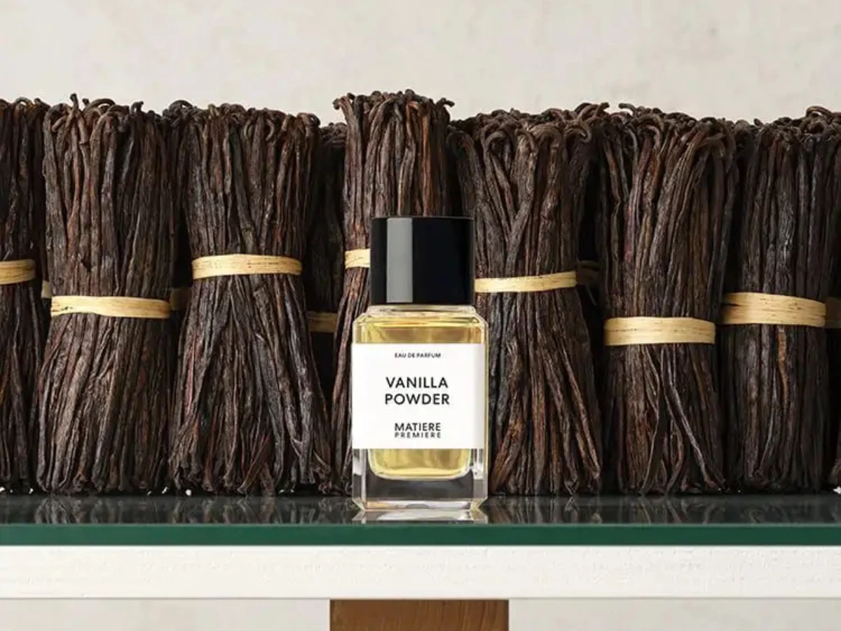 巨蟹座x香草椰奶調 巨蟹座x香草椰奶調