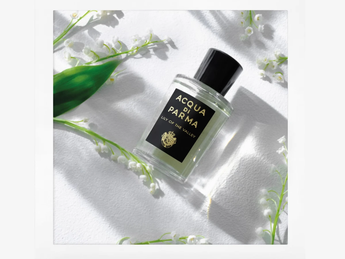 射手座x檸檬鈴蘭調 射手座x檸檬鈴蘭調