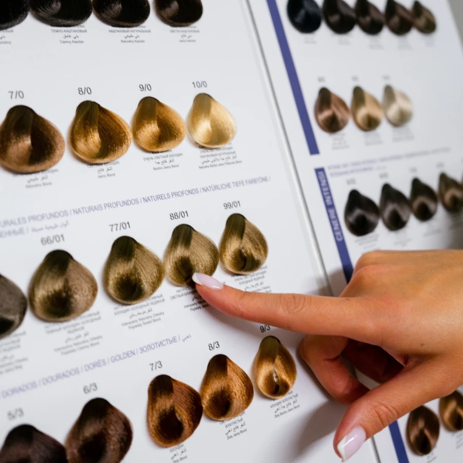 shutterstock_2420249639