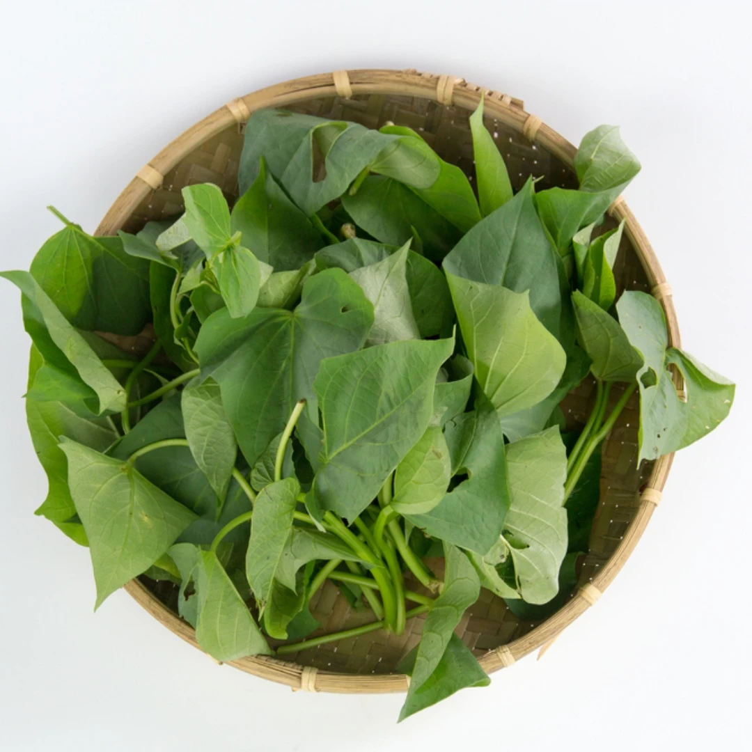 媲美瘦瘦針的「瘦瘦菜」竟是它！營養師揭密：吃地瓜葉也能減重！穩血糖又改善便秘