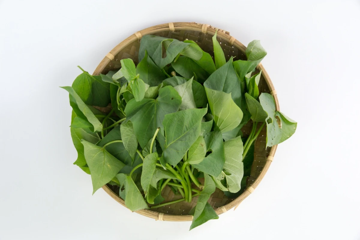 batch_shutterstock_658243747