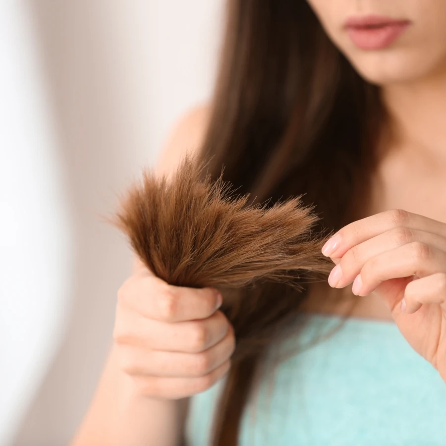 shutterstock_1338516707