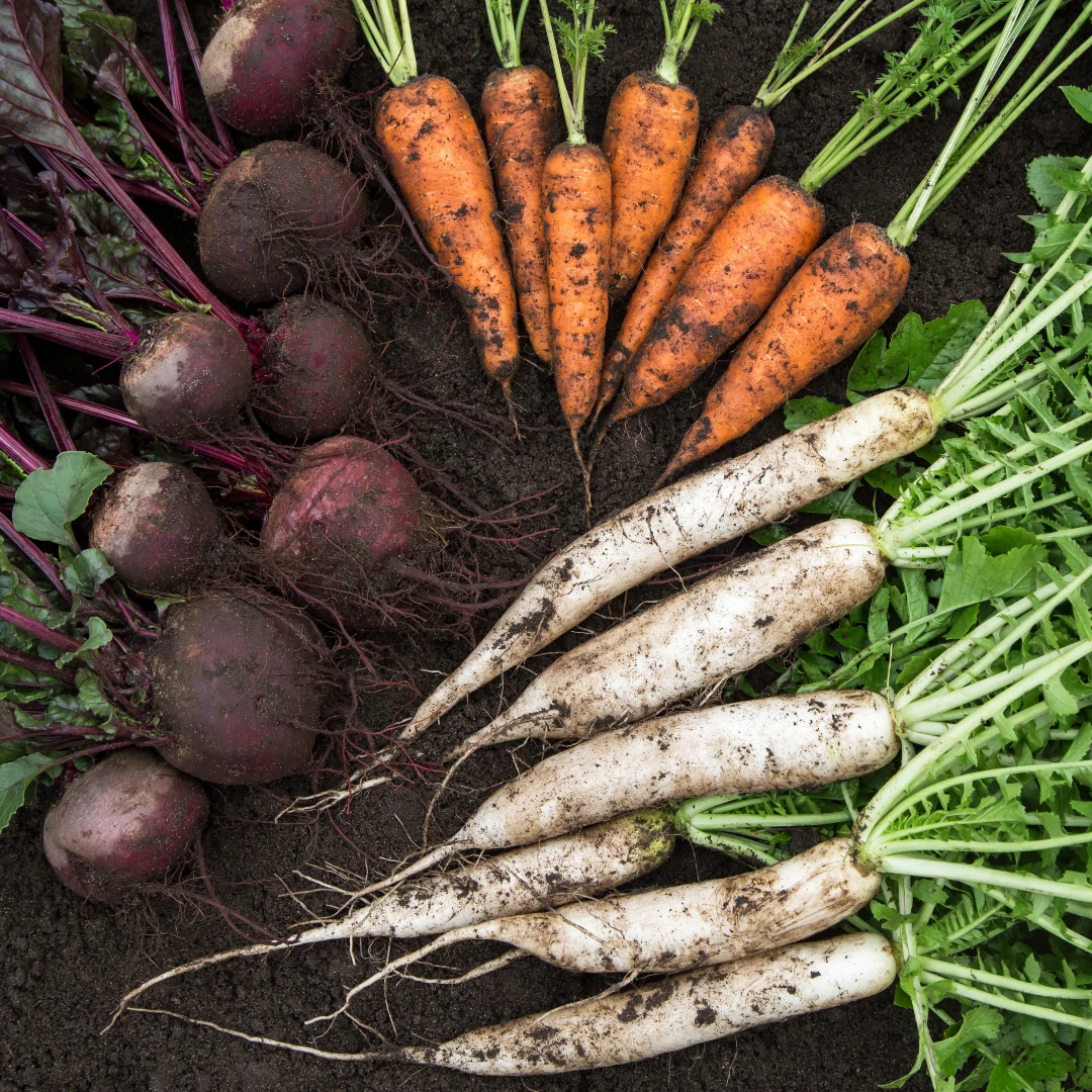 蘿蔔蔬果汁真這麼神？日本網友實測 4 個月狂甩 6 公斤，就連膚況也亮到發光