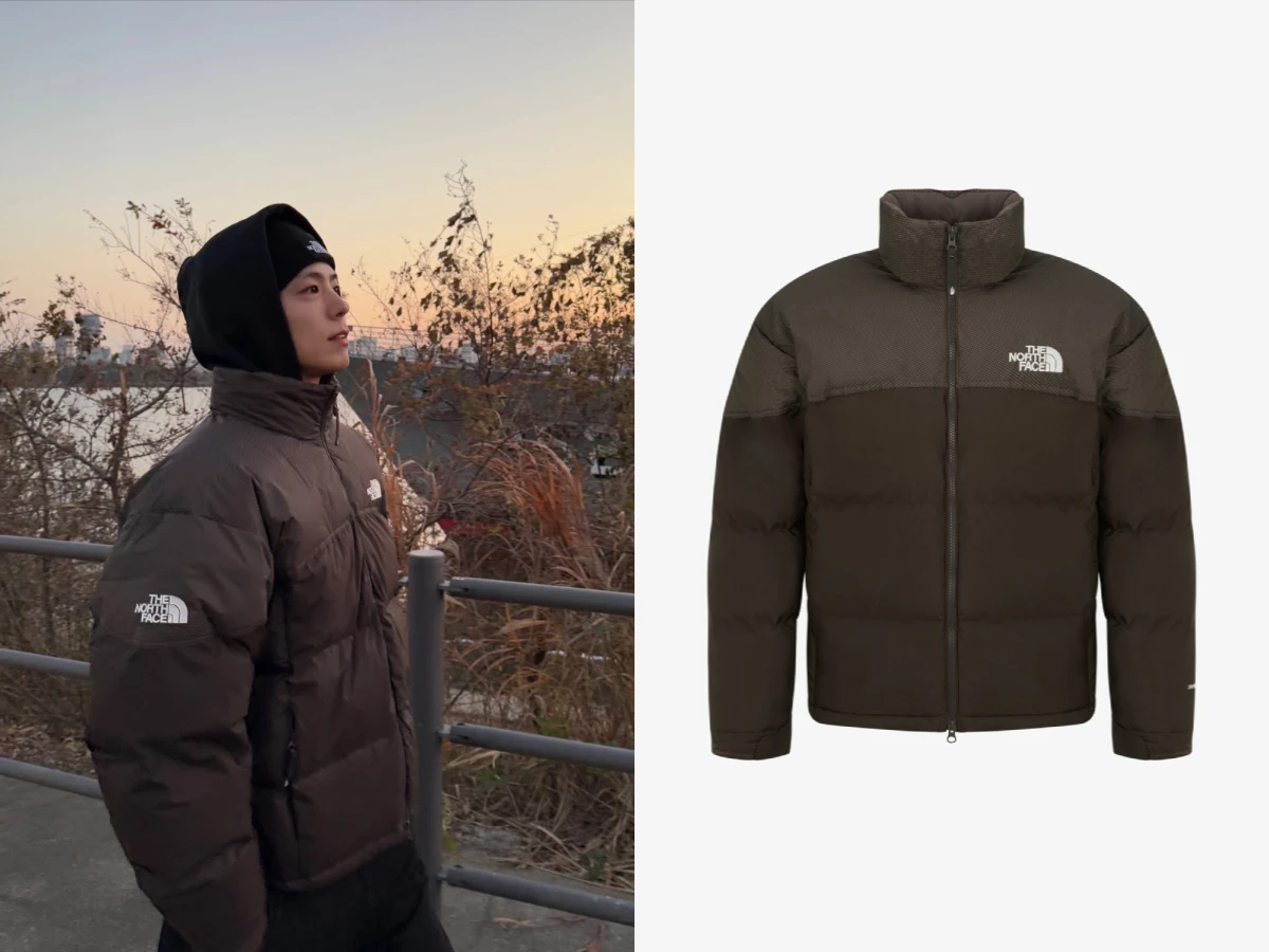 朴寶劍The North Face