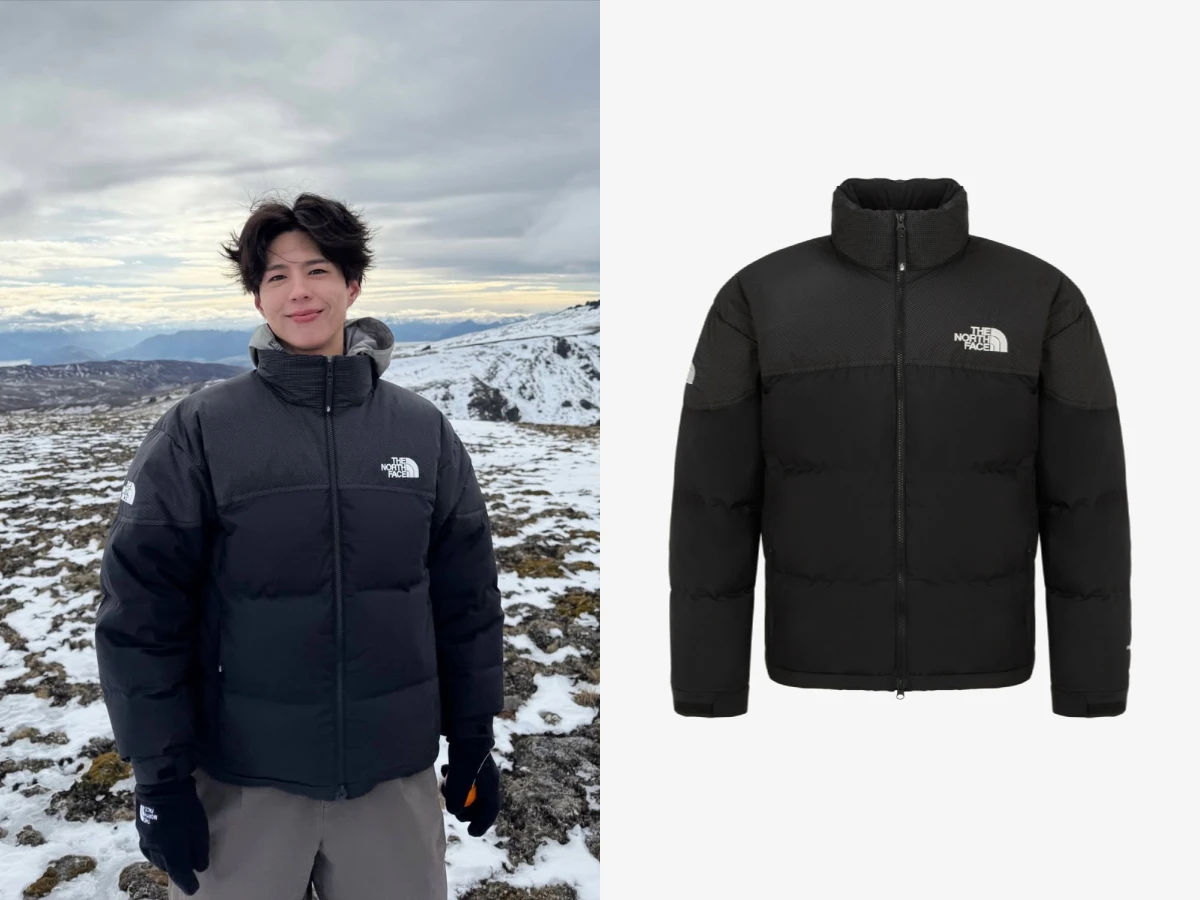 朴寶劍The North Face
