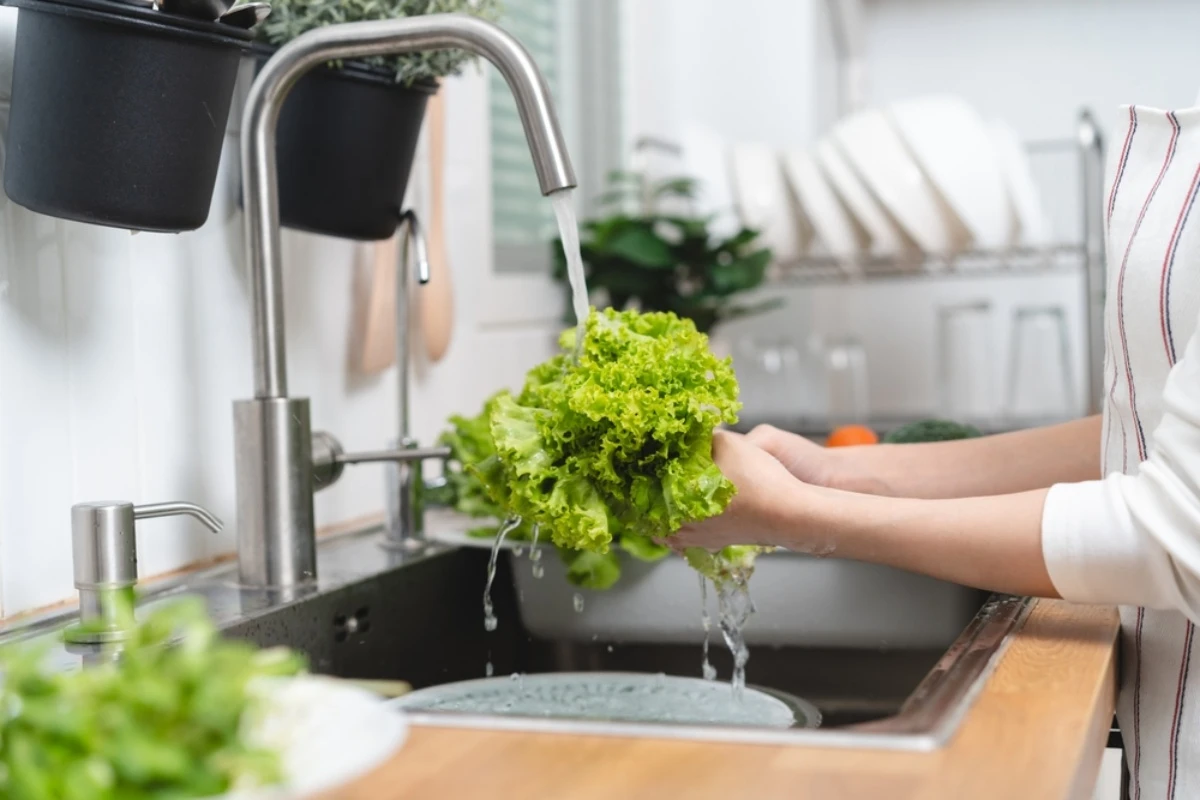 batch_shutterstock_2322328075