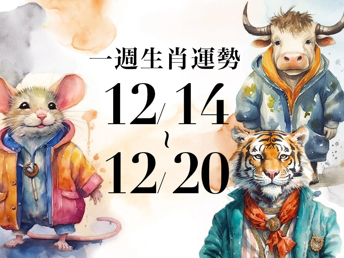 雨揚老師十二生肖一週運勢 12/14~12/20！屬牛財運爆發，「這生肖」愛情運走下坡