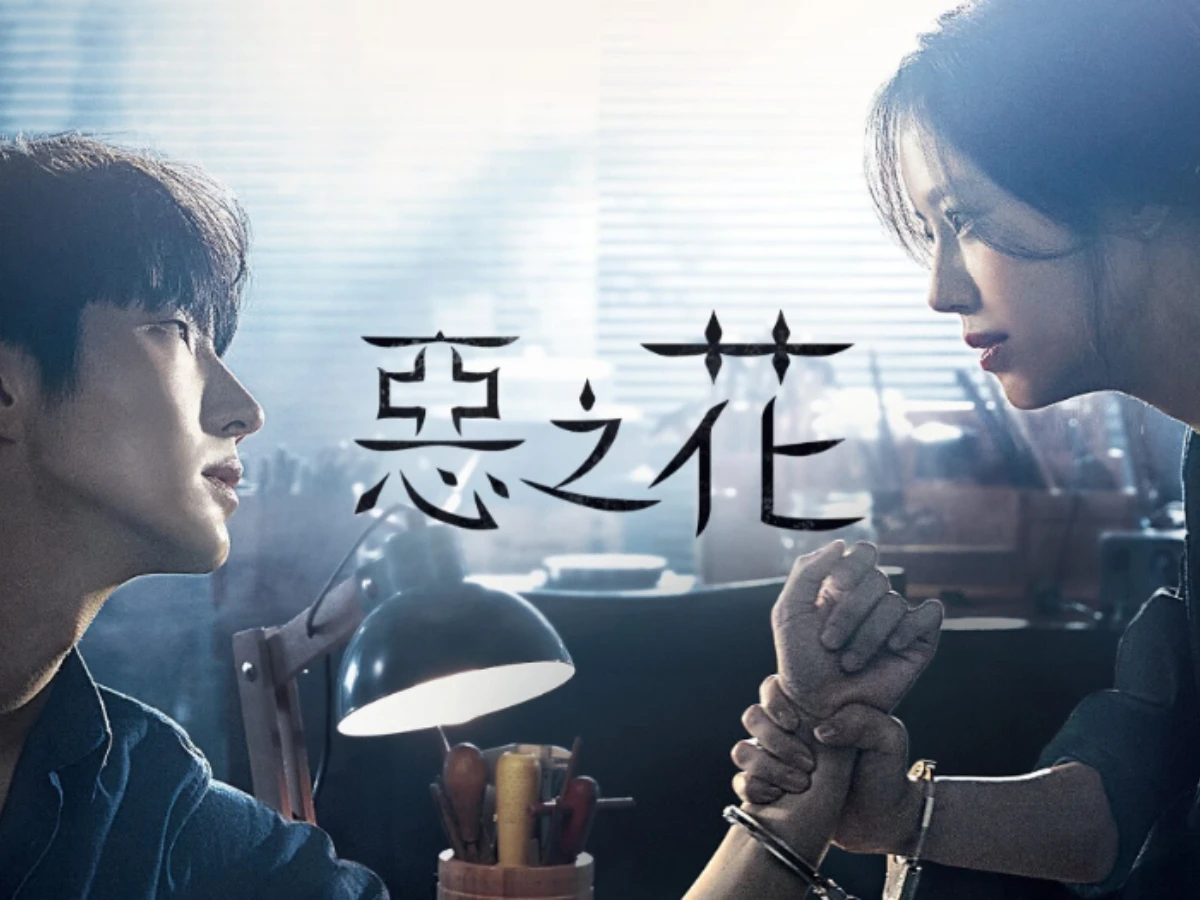 劇情亮點1.改編自韓劇《惡之花》