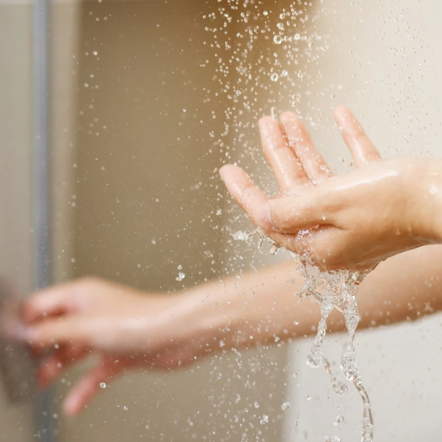 shutterstock_2450112565