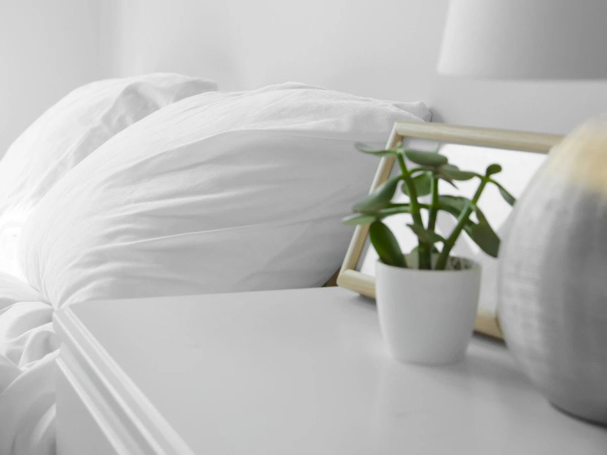 四、自然系元素（植物或天然材質）