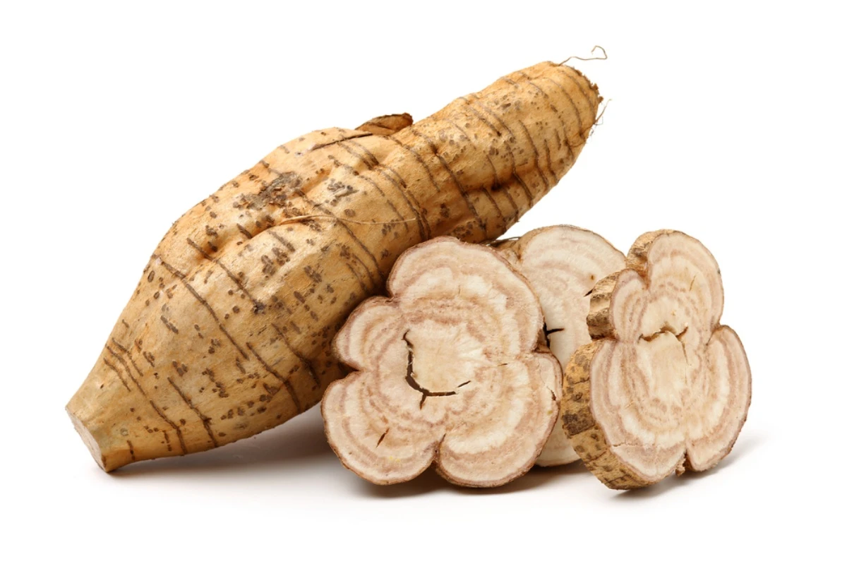 batch_shutterstock_1873583161