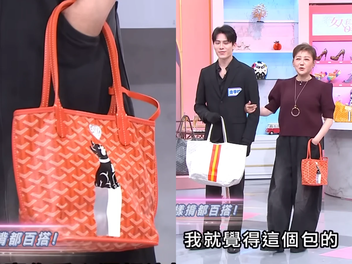 藍心湄第一顆 Goyard用了 27 年