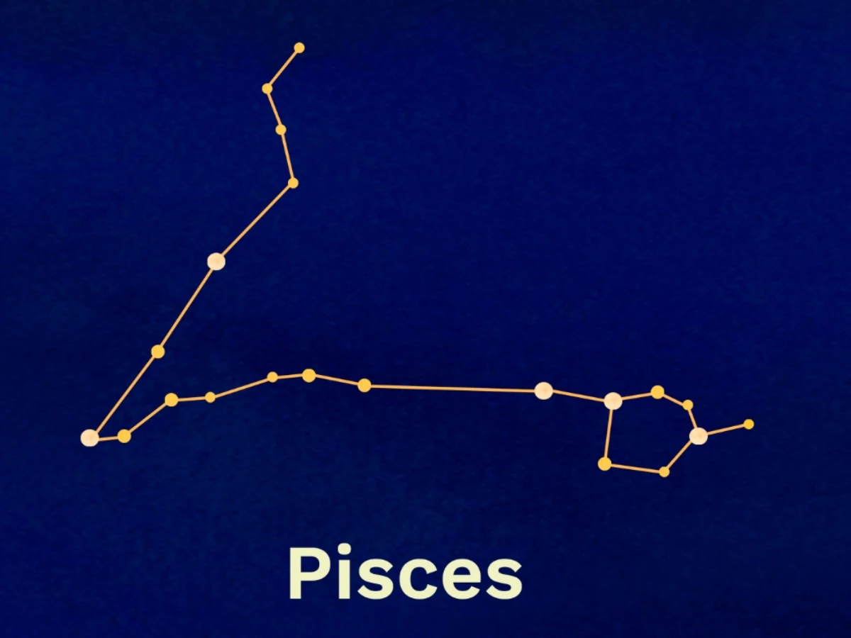 越樂觀財運越好星座TOP 2.雙魚座