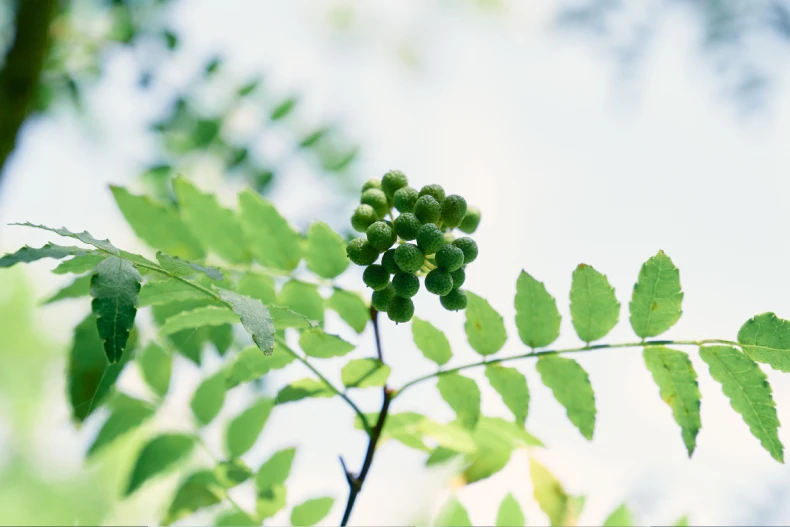 啟動肌膚賦活引擎，注入核心青春能量！ 朵茉麗蔻「基本4點」根源抗老再升級，為肌膚充飽電