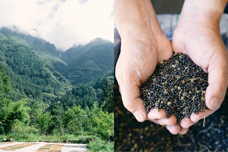 啟動肌膚賦活引擎，注入核心青春能量！ 朵茉麗蔻「基本4點」根源抗老再升級，為肌膚充飽電