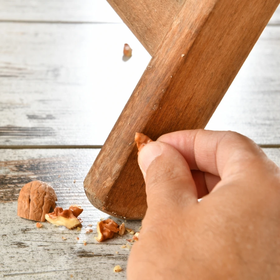 shutterstock_2064673694 shutterstock_2064673694