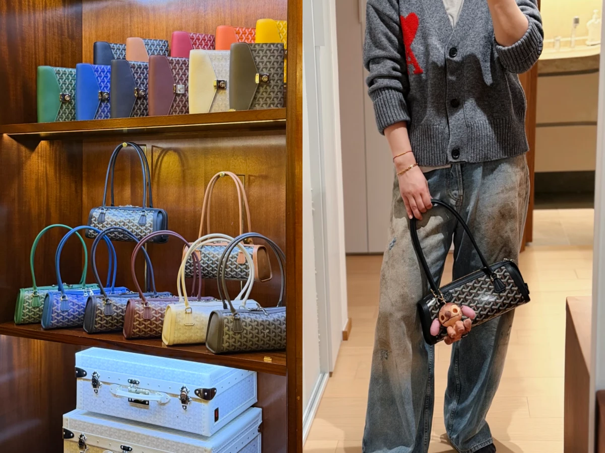 Goyard 新款東西向包亮相：實用又隱奢！價格細節大揭密