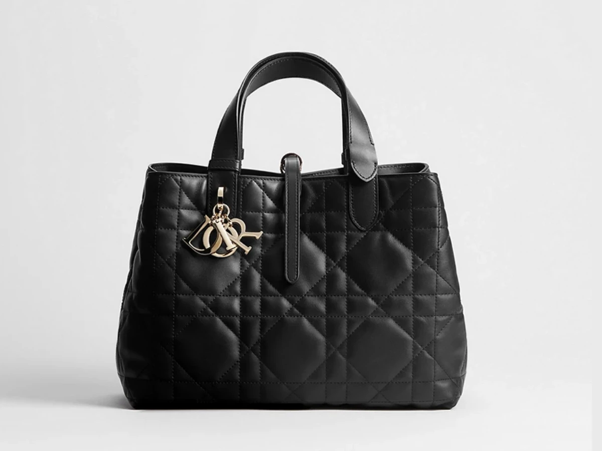 DIOR Toujours Bag
