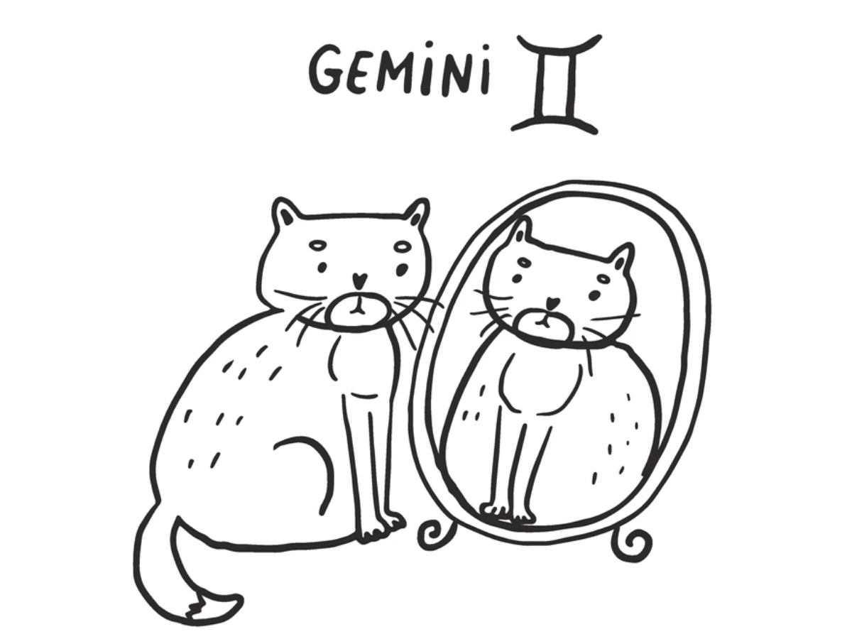 大寒財運最旺星座TOP 1.巨蟹座