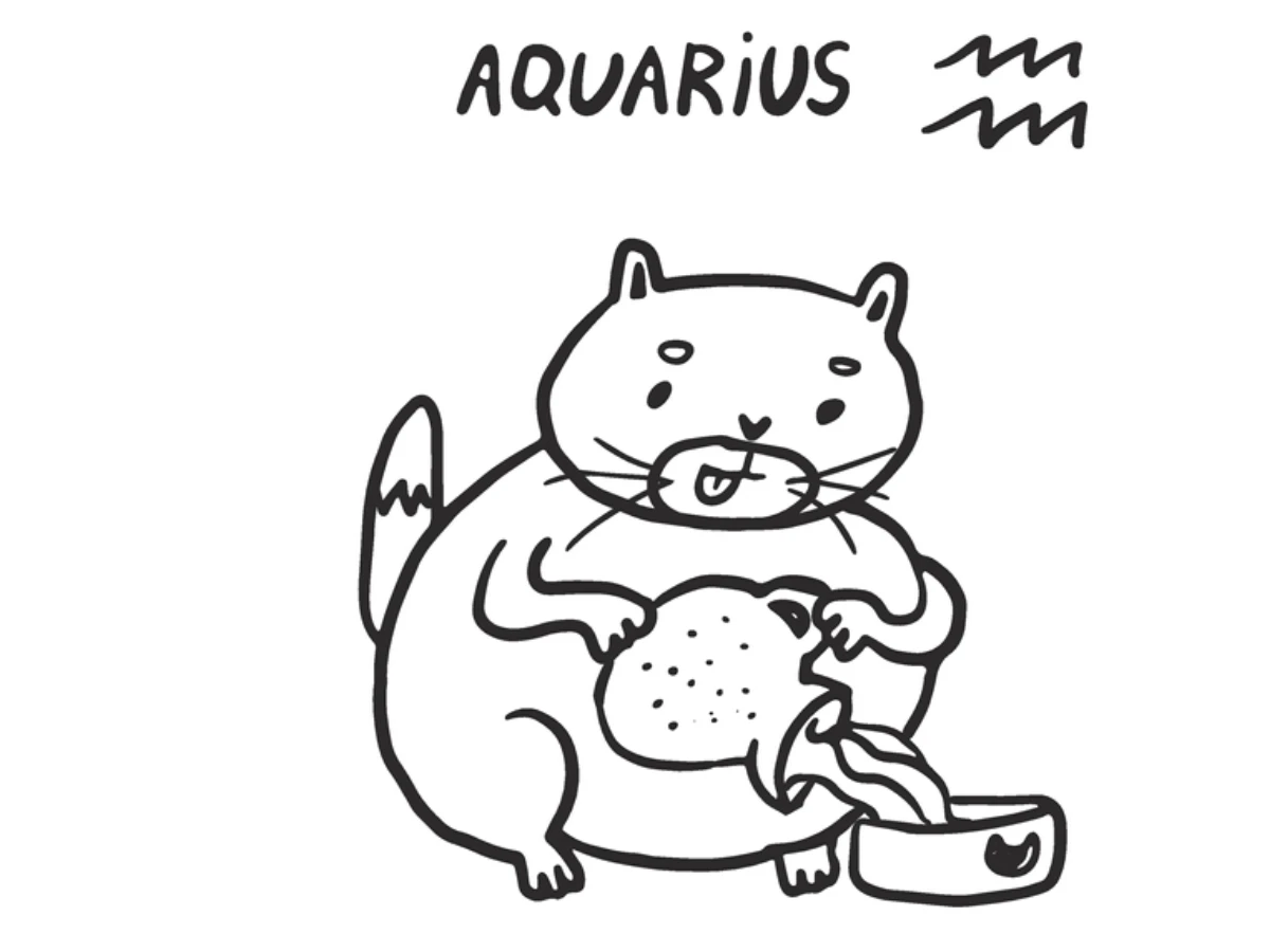 大寒財運最旺星座TOP 3.水瓶座