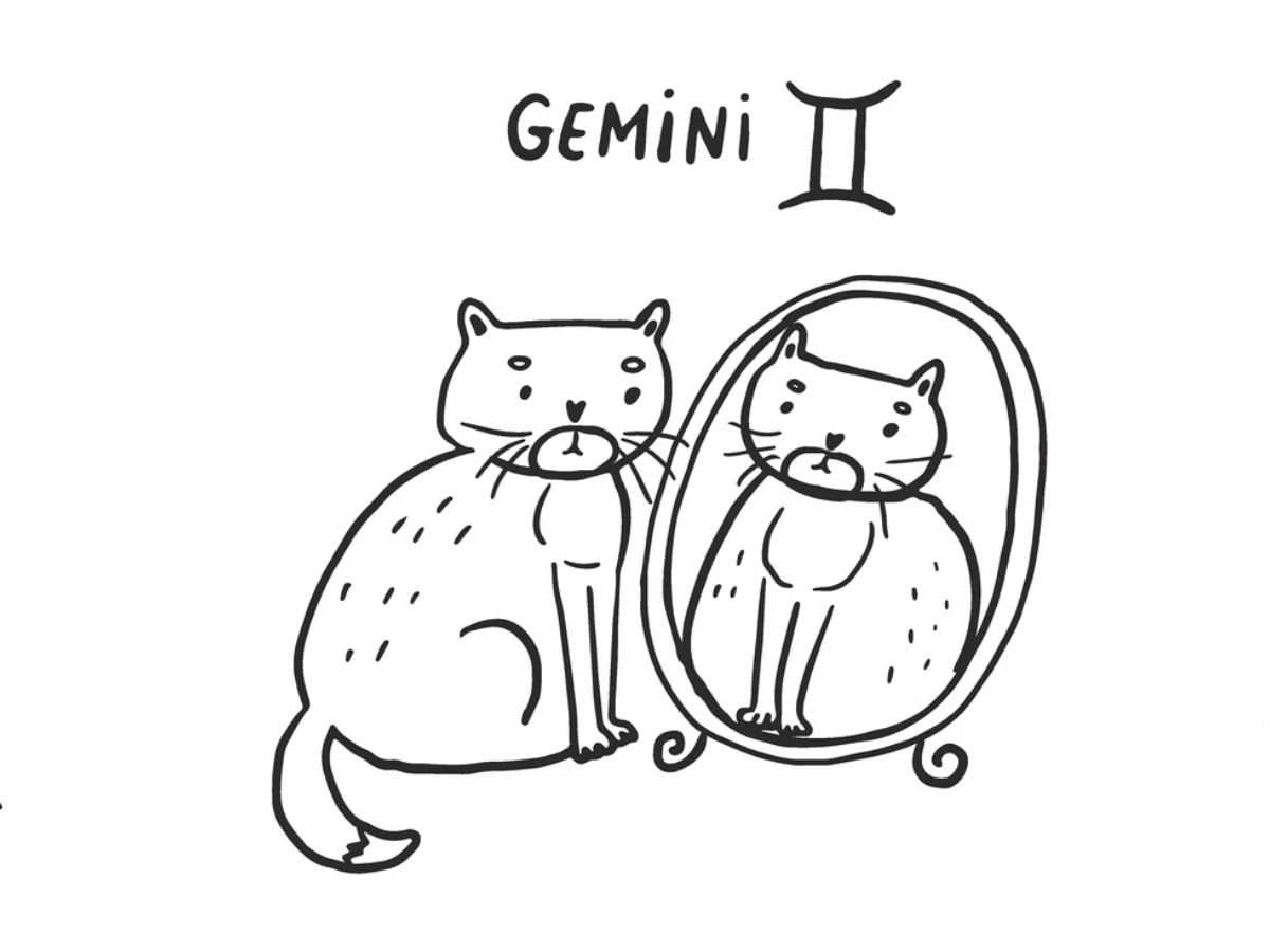 大寒財運最旺星座TOP 4.雙子座