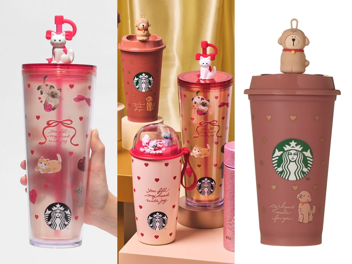 2026日本打工度假簽證「開放申請第2次」！日台交流協會公告出爐，30歲也來得及