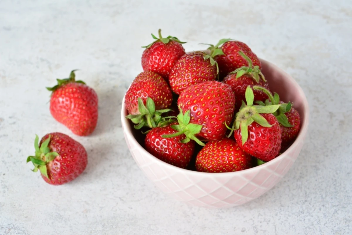 batch_shutterstock_2657376915