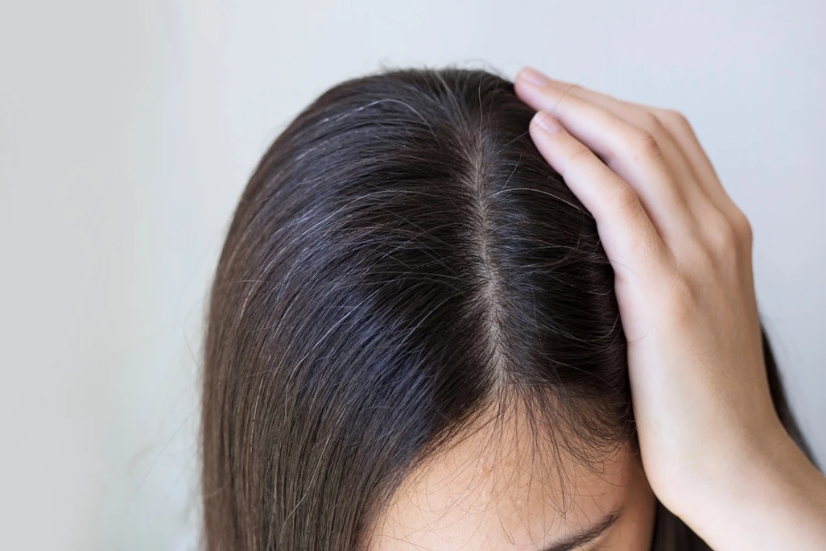 batch_shutterstock_2160427183