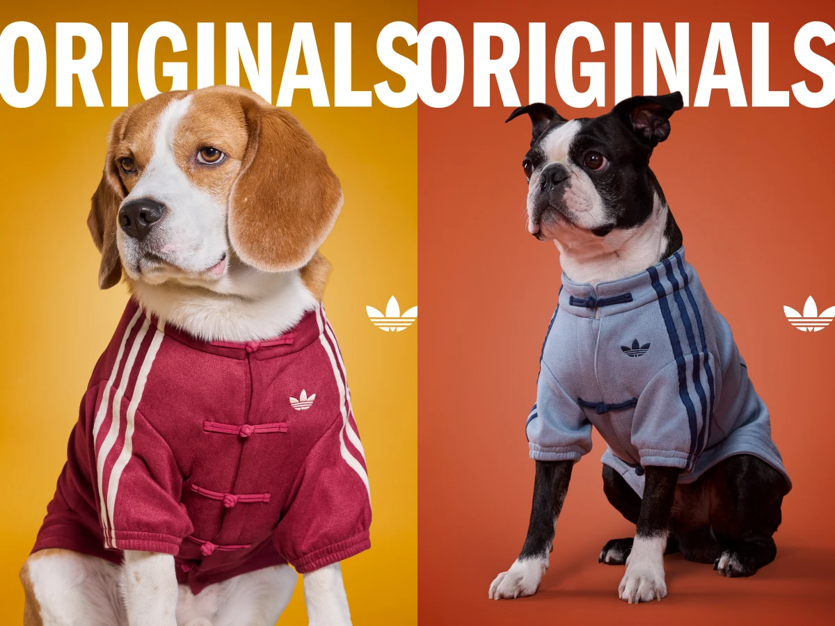 adidas 新中式！地瓜球配色GORE-TEX 鞋款、三葉草寵物系列正式登場