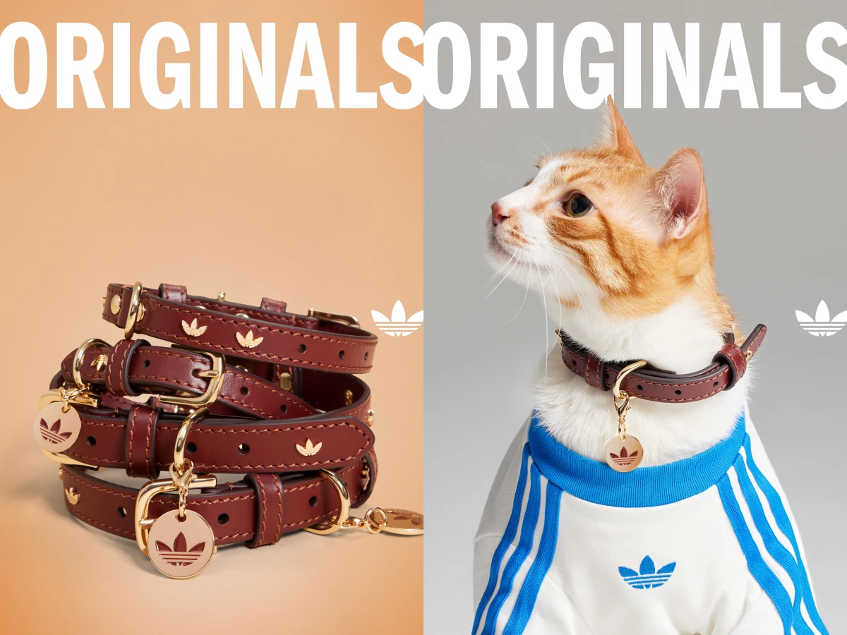 adidas 新中式！地瓜球配色GORE-TEX 鞋款、三葉草寵物系列正式登場