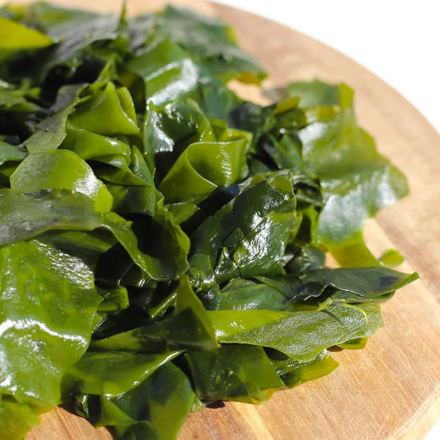 shutterstock_2702494895 shutterstock_2702494895