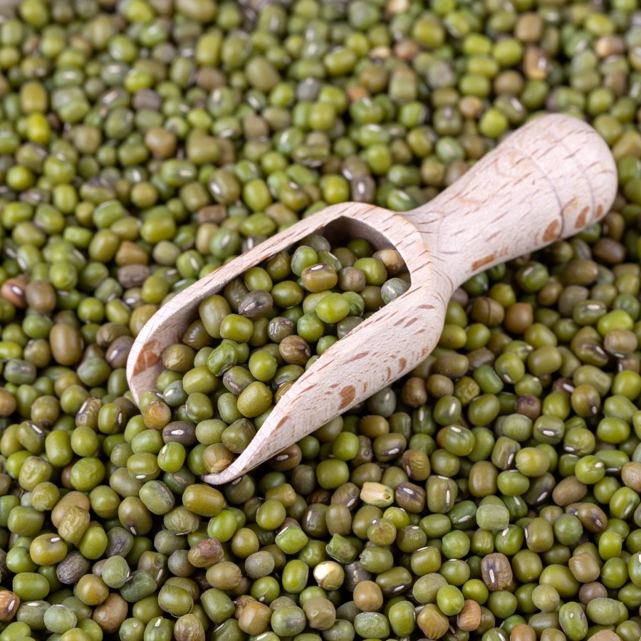 shutterstock_2697288451 shutterstock_2697288451