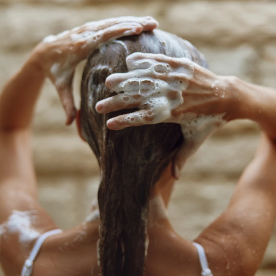 shutterstock_2658821807