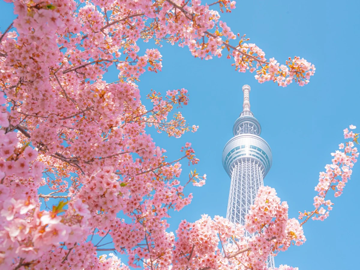 shutterstock_2627178407