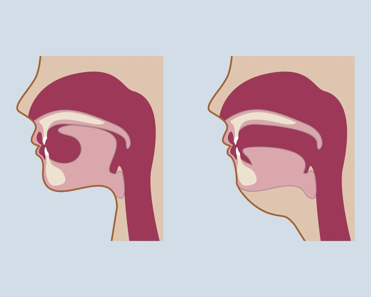 batch_shutterstock_2444260731