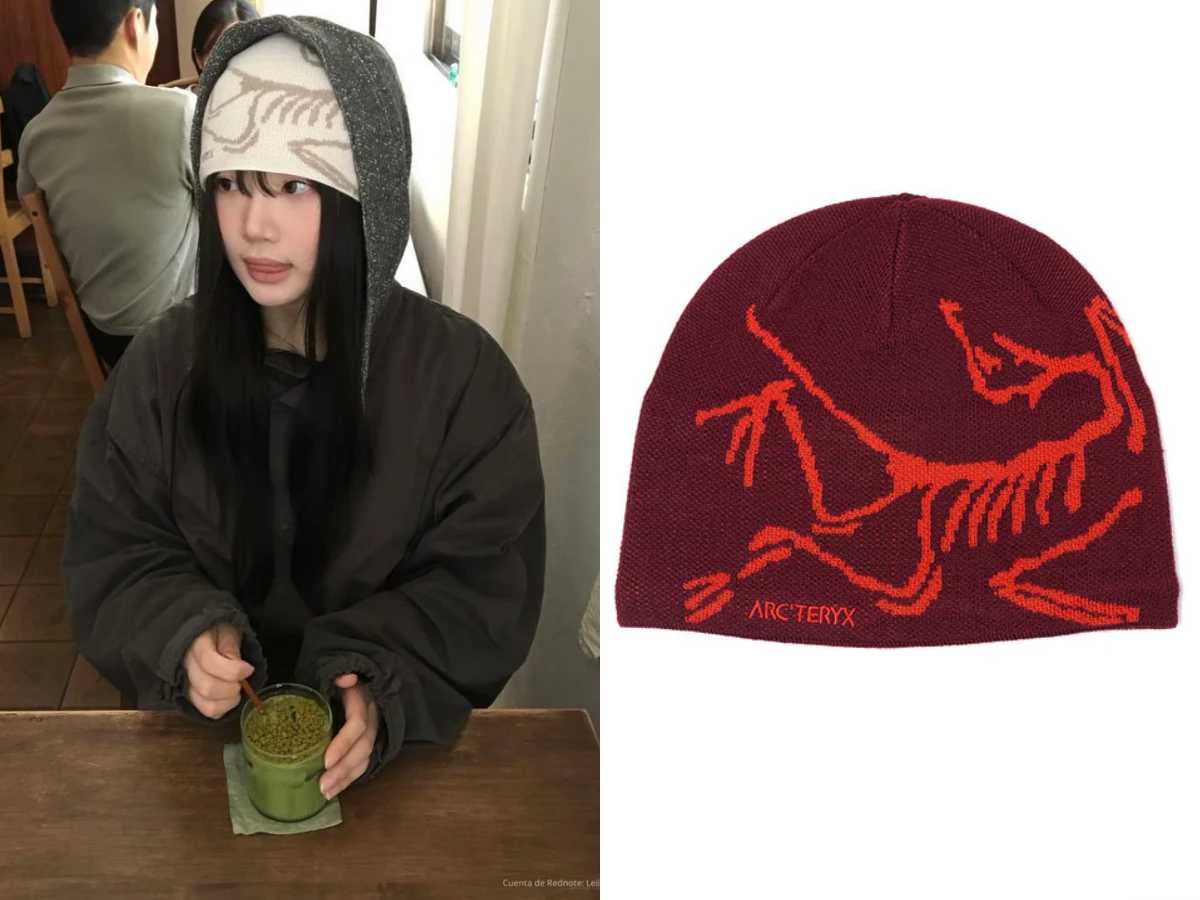 Arc'teryx 始祖鳥毛帽激增1058%！彭于晏 歐美部落客都在戴