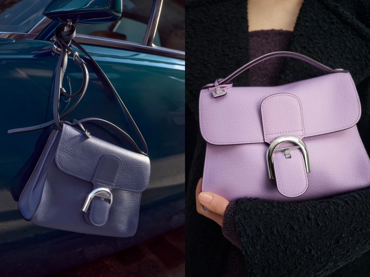 林志玲、孔曉振女神包！Delvaux Brillant Tempo S