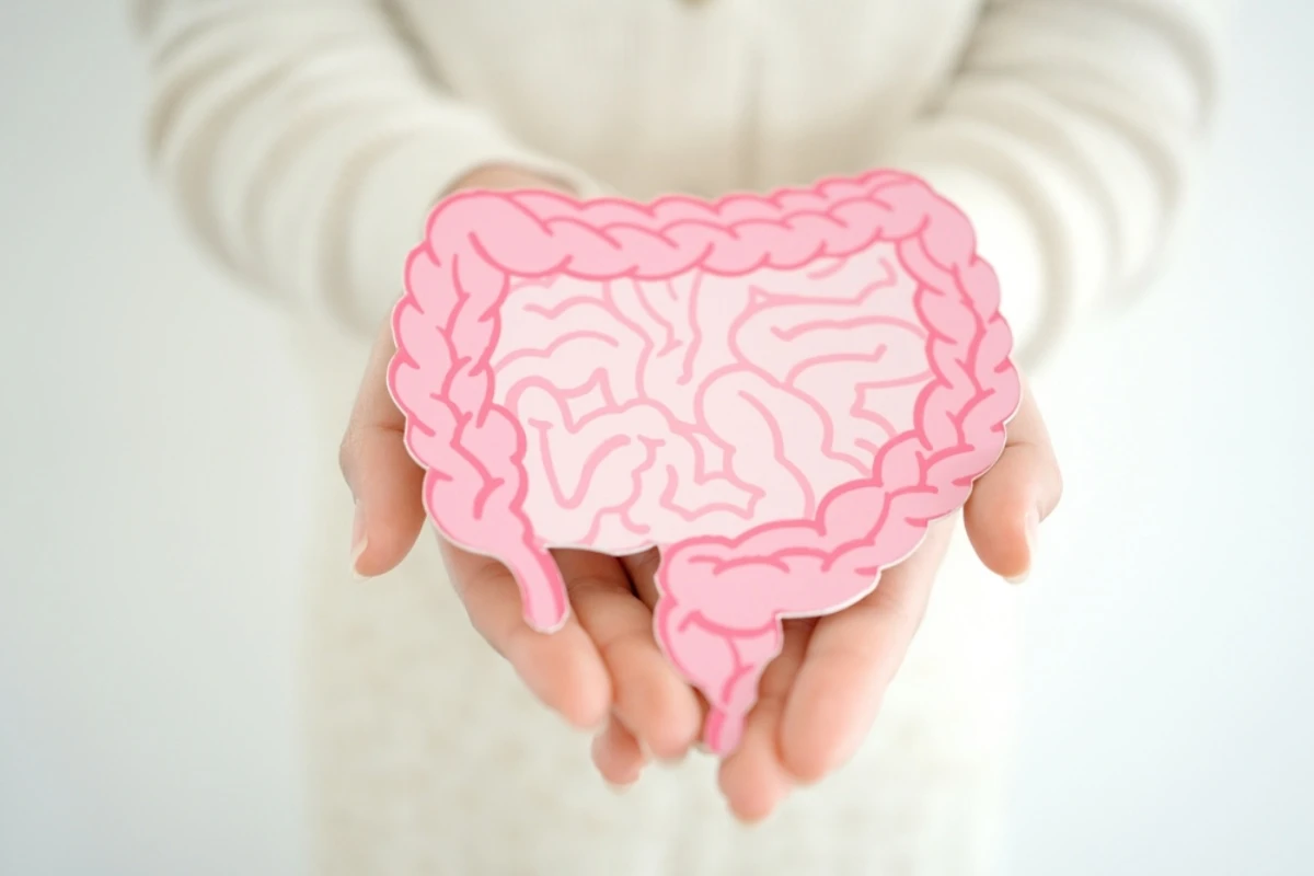 batch_shutterstock_2626129617