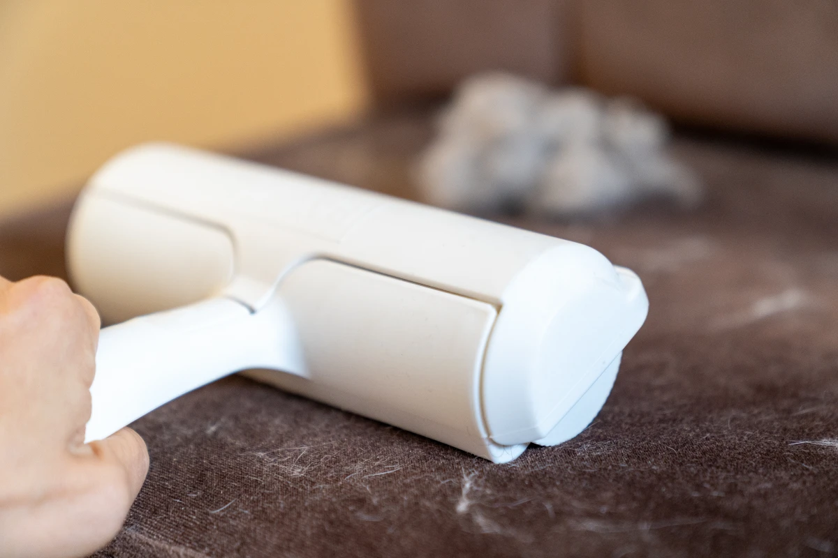 最容易沾染貓毛、狗毛的衣服有哪些？貓毛、狗毛處理