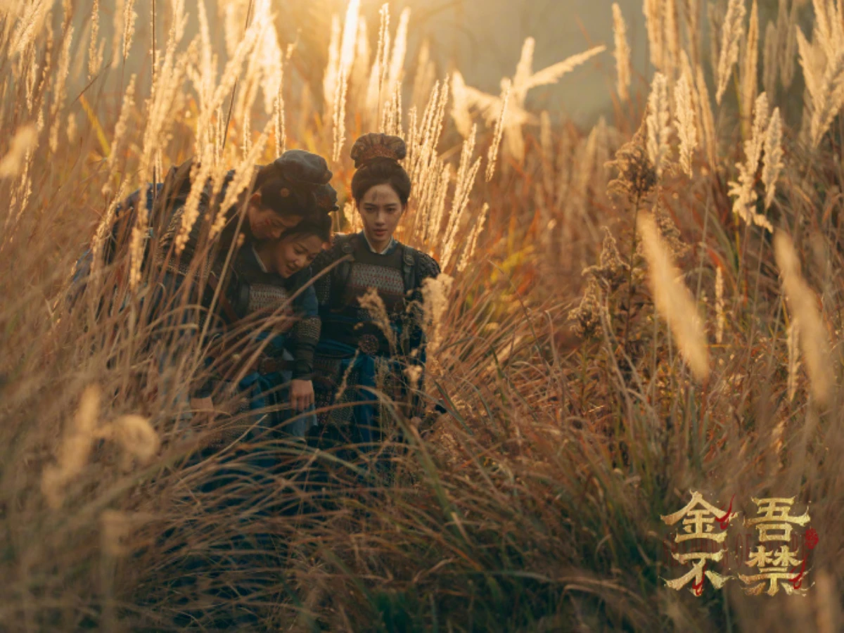 《金吾不禁》線上看更新時間