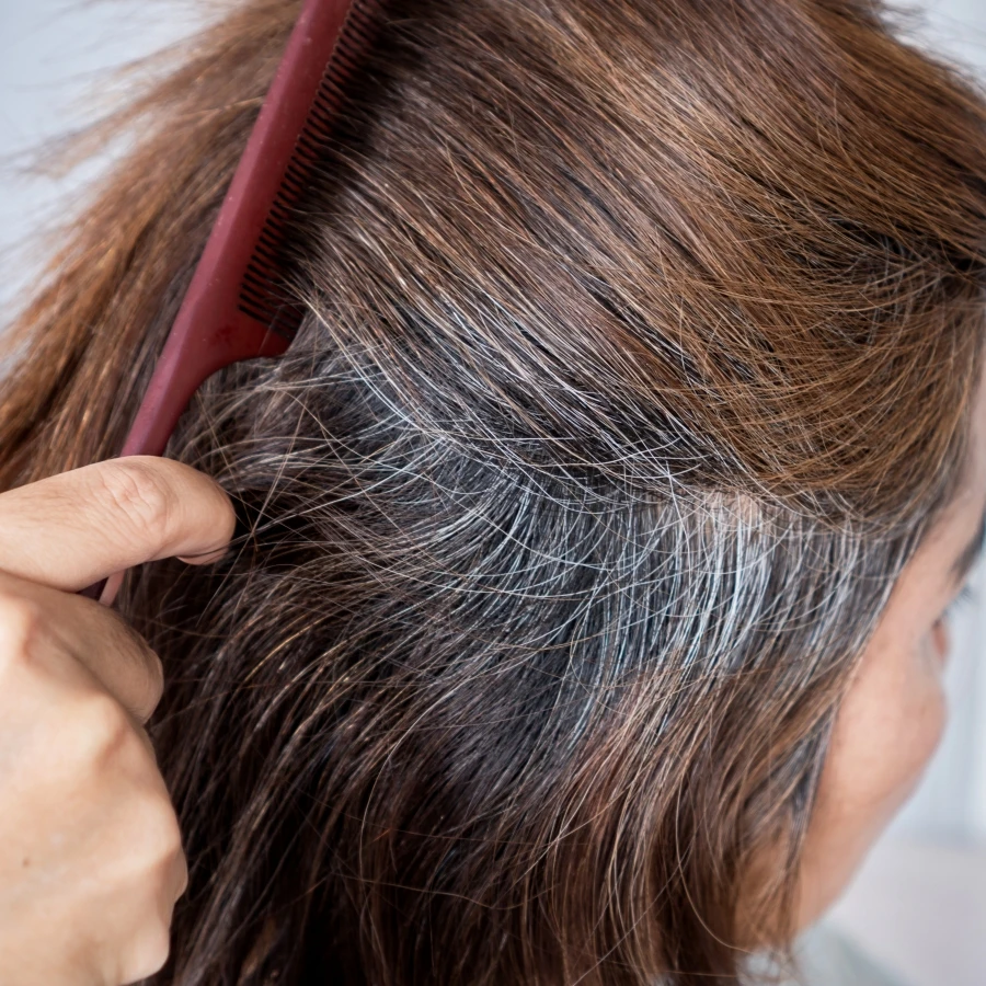 shutterstock_2550628337