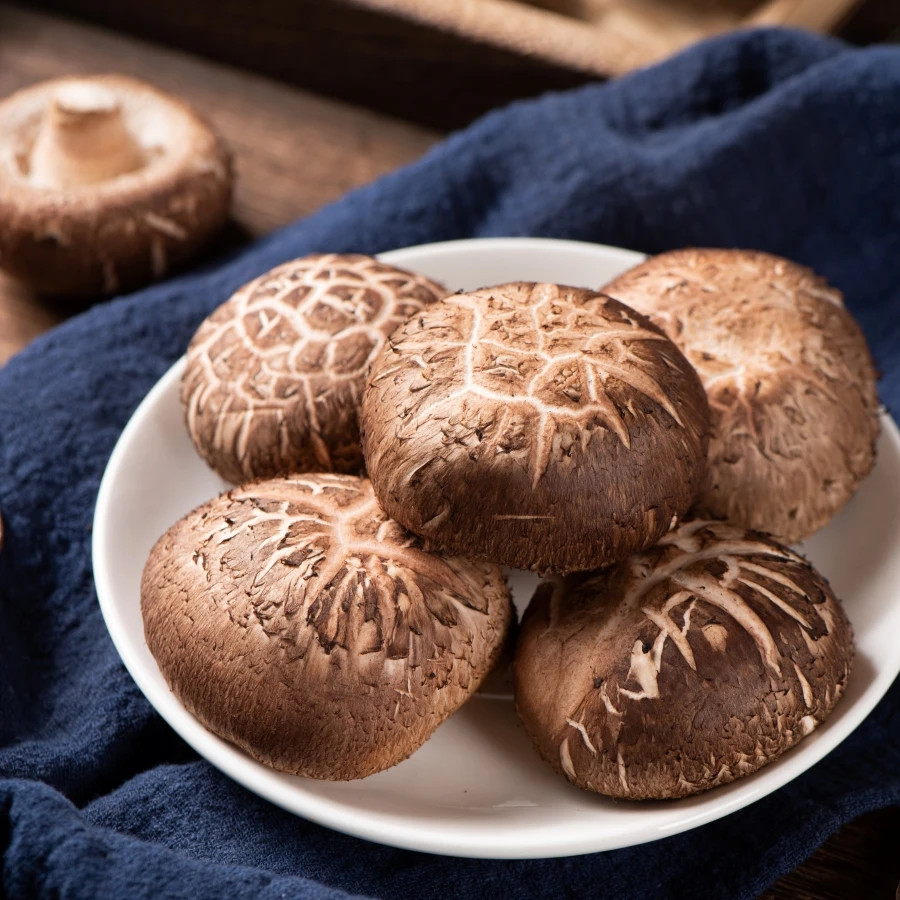 shutterstock_2716511559 shutterstock_2716511559