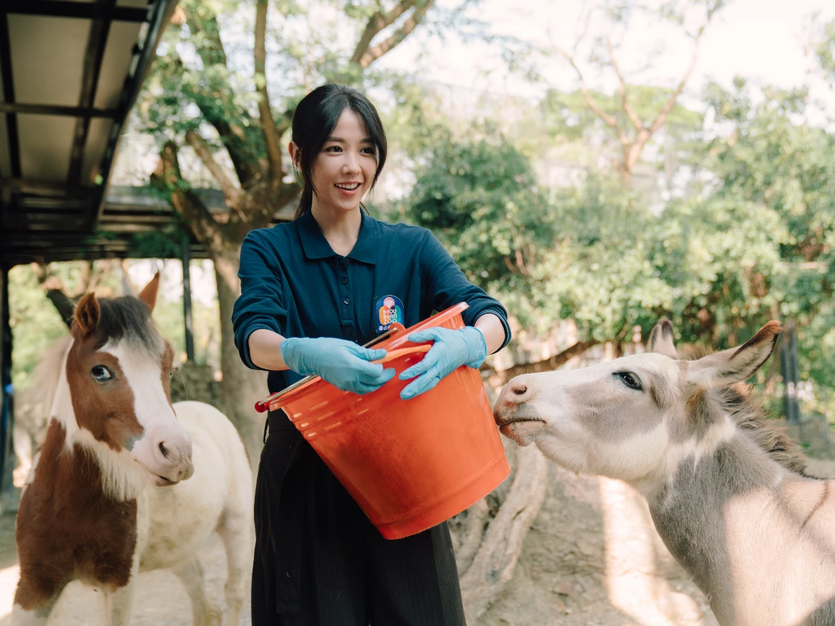 春節追劇地圖1：《動物園》