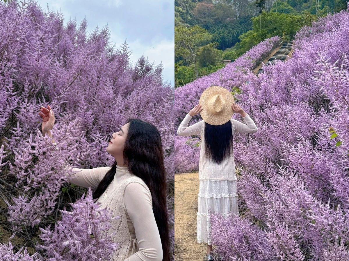 九尖茶廠angwe_linlin