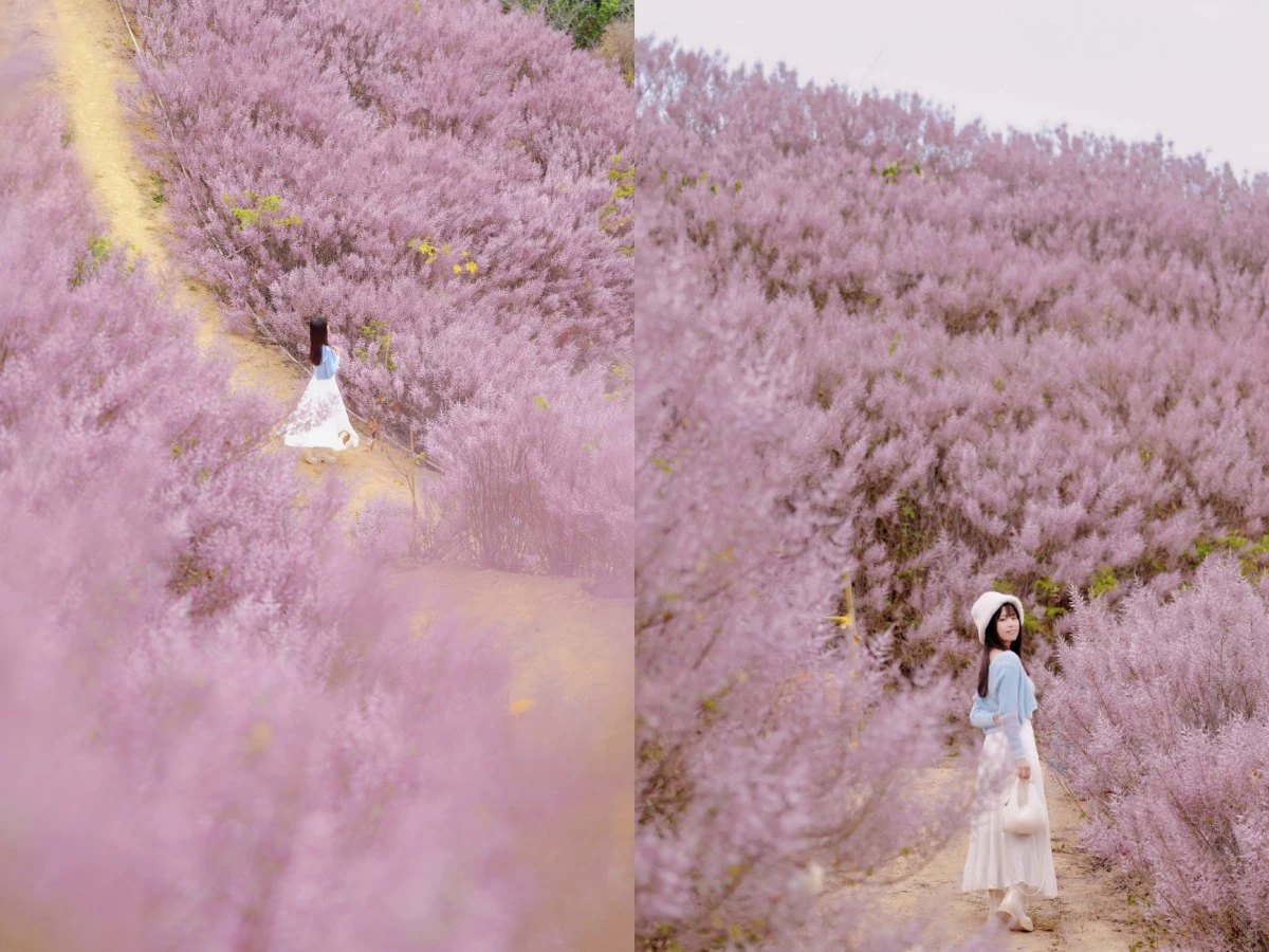 九尖茶廠tsotso_1206