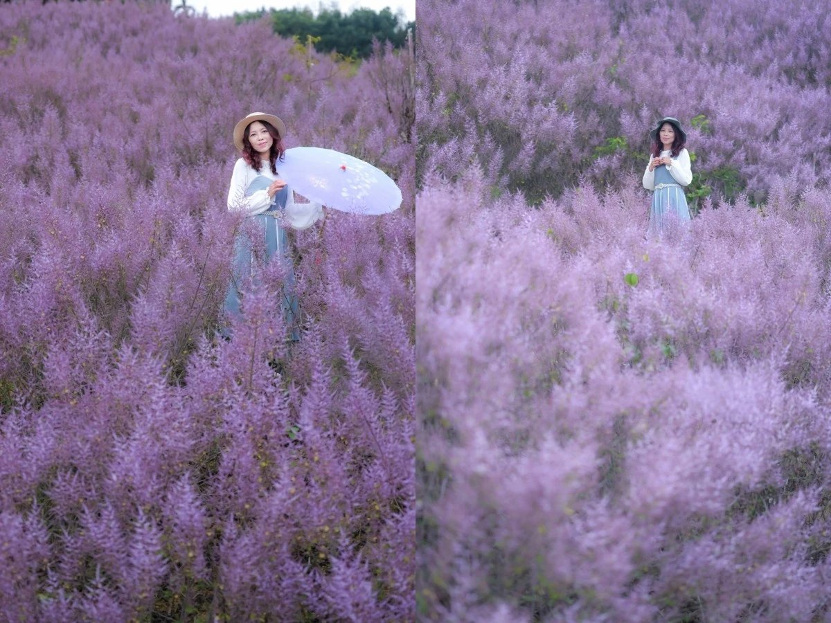 九尖茶廠nelly.hong